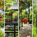 We Skipped Tokyo: Our 2-Week Japan Itinerary (Kyushu Road trip + Night Ferry Experience)